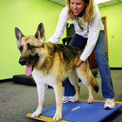 Me and Echo - Click here to read her story.